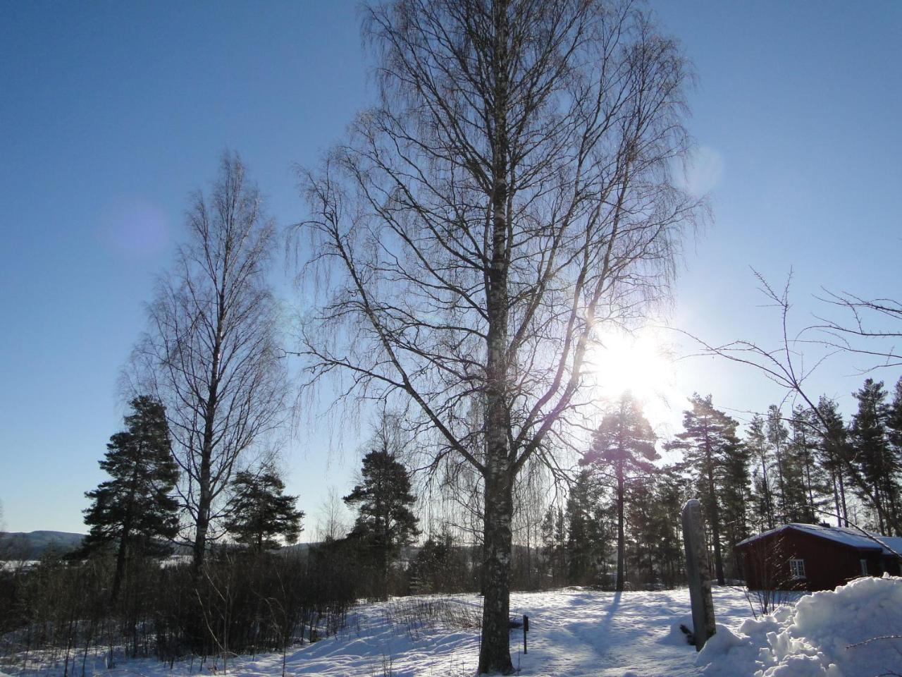 Sunne Hembygdsgard B&B Экстерьер фото